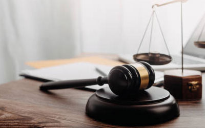 Insights from Our Expert Legal Team